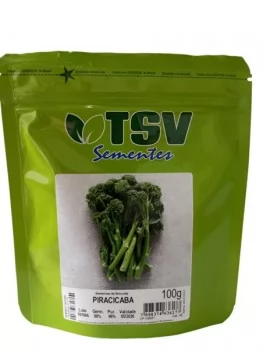 xx_piracicaba-100g111-5e85a3c8695d1b80a9cdb0a6f2ca539b.webp