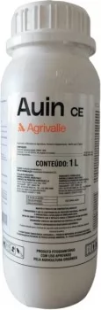 xx_auin11-3bdb6292b25e4ef97226ada57d856509.webp