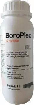 xx_boroplex-11-11-8168126172111e0c5acf2bbf2915d9da.webp