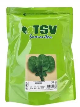 xx_rucula-barroco-tsv-500g-3fb2cec50e67815e3f9c255ee2f93d09.webp